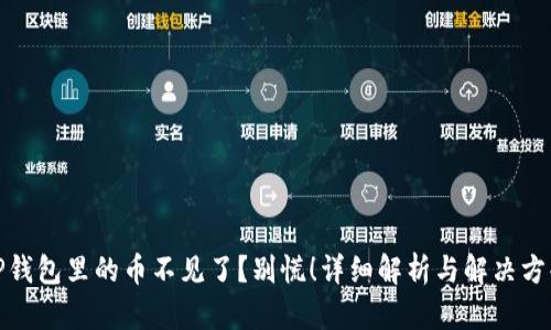 TP钱包里的币不见了？别慌！详细解析与解决方案