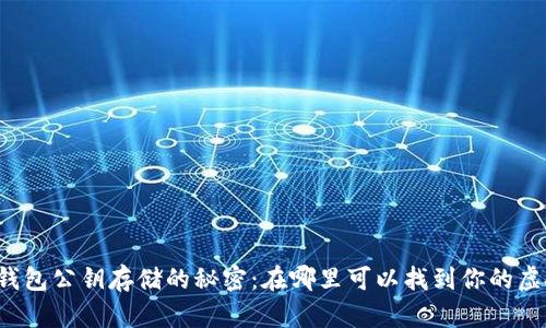 区块链钱包公钥存储的秘密：在哪里可以找到你的虚拟资产？