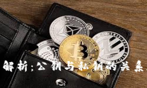 数字钱包解析：公钥与私钥的关系和重要性