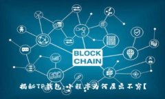 揭秘TP钱包：小程序为何层出不穷？
