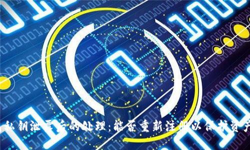TP钱包私钥泄露后的处理：能否重新注册以保护资产安全？
