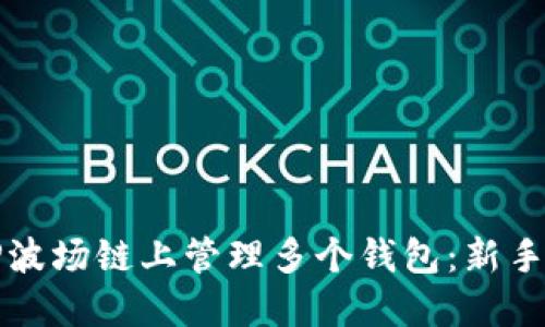 如何在TP波场链上管理多个钱包：新手必备指南