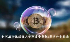 如何在TP波场链上管理多个钱包：新手必备指南