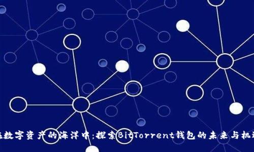 在数字资产的海洋中：探索BitTorrent钱包的未来与机遇