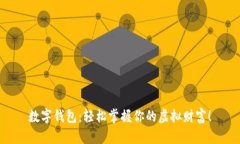 数字钱包：轻松掌握你的虚拟财富！