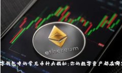 数字钱包中的常见币种大揭秘：你的数字资产都