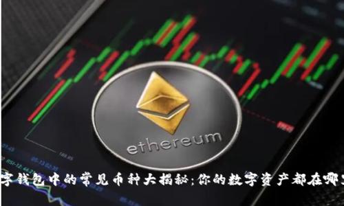 数字钱包中的常见币种大揭秘：你的数字资产都在哪里？