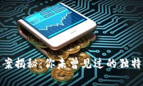 数字钱包背面图案揭秘：你未曾见过的独特设计与文化含义