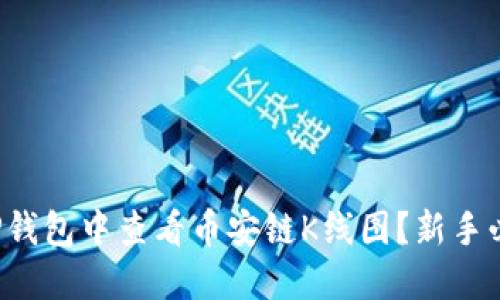 如何在TP钱包中查看币安链K线图？新手必看指南！