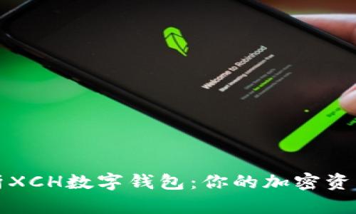 全面解析XCH数字钱包：你的加密资产保护神