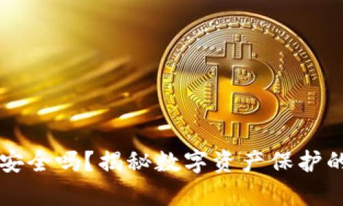 TP钱包安全吗？揭秘数字资产保护的真相...