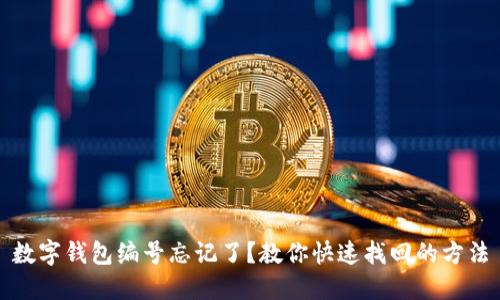 数字钱包编号忘记了？教你快速找回的方法