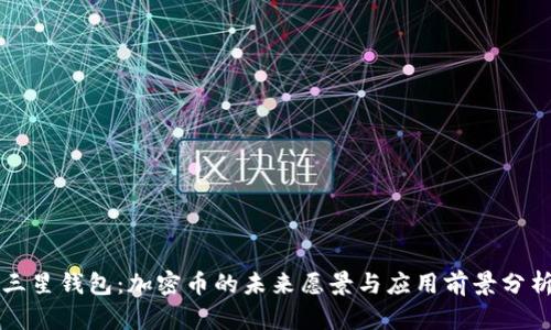 三星钱包：加密币的未来愿景与应用前景分析