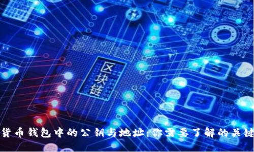 加密货币钱包中的公钥与地址：你需要了解的关键区别