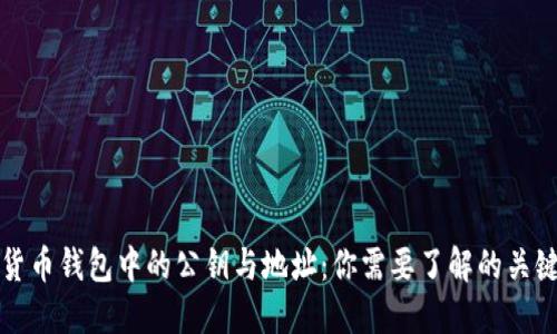 加密货币钱包中的公钥与地址：你需要了解的关键区别