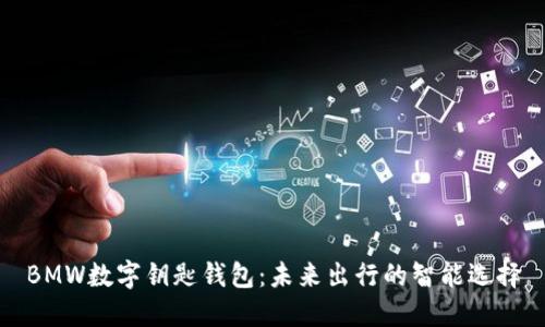 BMW数字钥匙钱包：未来出行的智能选择