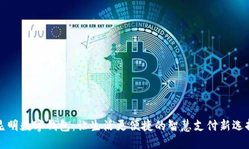昆明数字钱包：让生活更便捷的智慧支付新选择