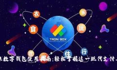 入账数字钱包使用指南：轻松掌握这一现代支付