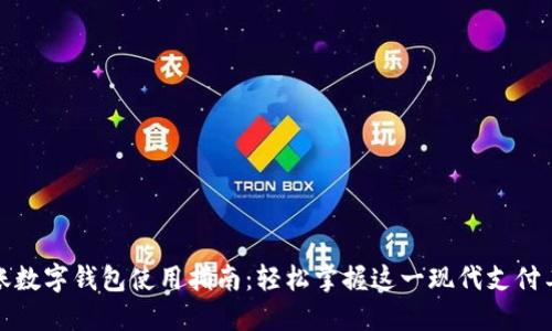 入账数字钱包使用指南：轻松掌握这一现代支付工具
