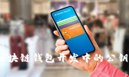 深入浅出：区块链钱包开发中的公钥与私钥解析