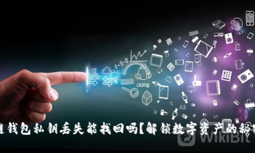 区块链钱包私钥丢失能找回吗？解锁数字资产的秘密之路