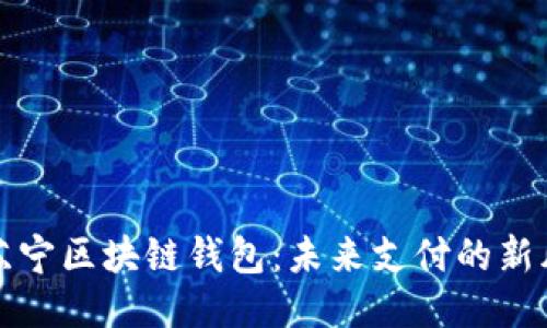 揭秘苏宁区块链钱包：未来支付的新风向标
