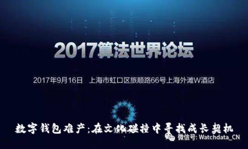 数字钱包难产：在文化碰撞中寻找成长契机