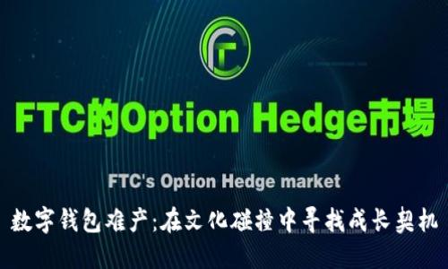 数字钱包难产：在文化碰撞中寻找成长契机