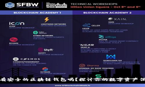 现在还有安全的区块链钱包吗？探讨你的数字资产保护之路
