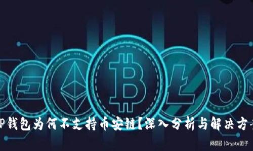 TP钱包为何不支持币安链？深入分析与解决方案