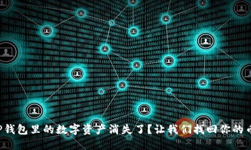 TP钱包里的数字资产消失了？让我们找回你的币！