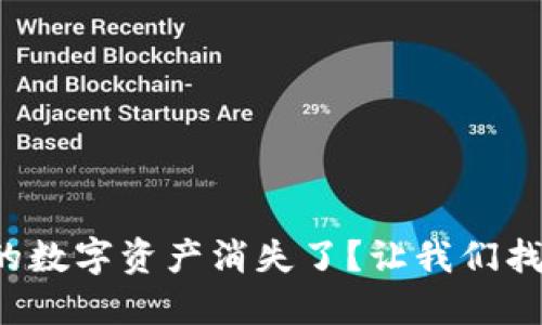 TP钱包里的数字资产消失了？让我们找回你的币！