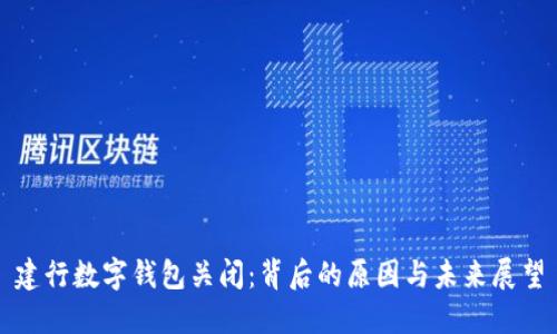 建行数字钱包关闭：背后的原因与未来展望