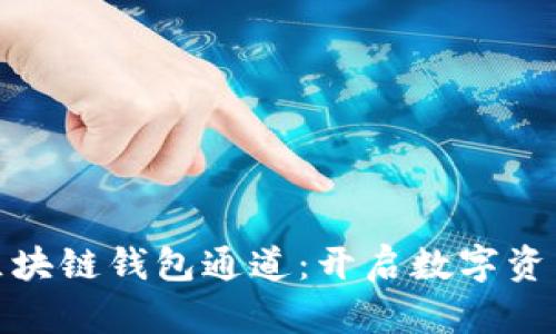 如何搭建区块链钱包通道：开启数字资产的新天地