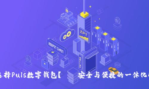 为什么选择Puls数字钱包？——安全与便捷的一体化解决方案