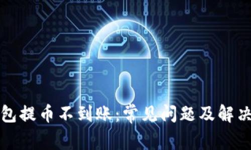 TP钱包提币不到账：常见问题及解决方案