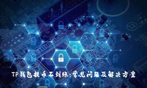 TP钱包提币不到账：常见问题及解决方案