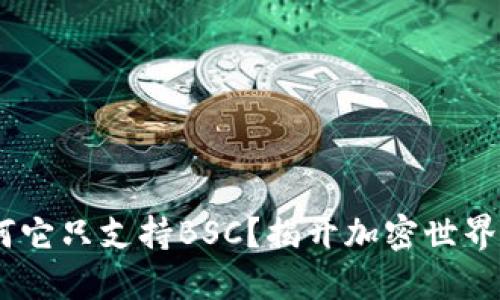 TP钱包：为何它只支持BSC？揭开加密世界的神秘面纱