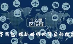 黑数字钱包：揭秘暗网站背后的数字经济