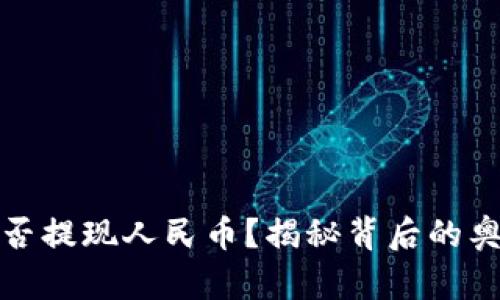 TP钱包能否提现人民币？揭秘背后的奥秘与选择