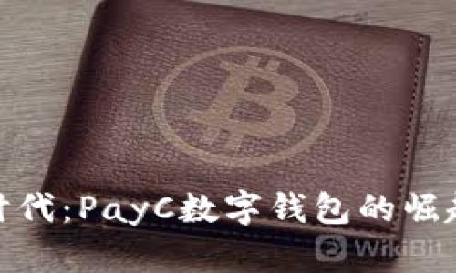 数字支付新时代：PayC数字钱包的崛起与未来趋势