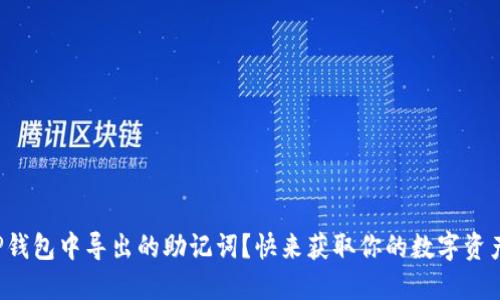 如何查看TP钱包中导出的助记词？快来获取你的数字资产安全秘籍！