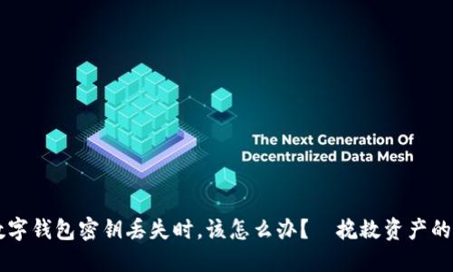 当你的数字钱包密钥丢失时，该怎么办？—挽救资产的终极指南