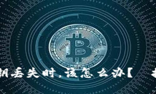 当你的数字钱包密钥丢失时，该怎么办？—挽救资产的终极指南