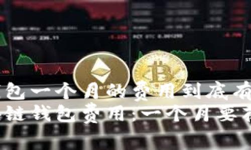 区块链钱包一个月的费用到底有多高？
揭秘区块链钱包费用：一个月要花多少钱？