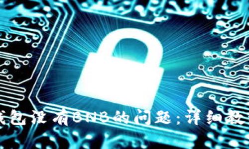 如何解决TP钱包没有BNB的问题：详细教程与经验分享