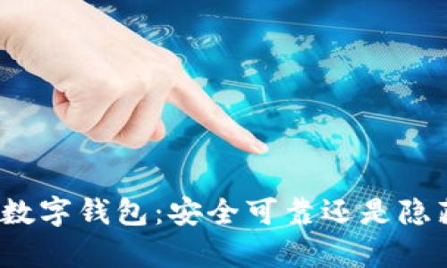 BHPay数字钱包：安全可靠还是隐藏风险？