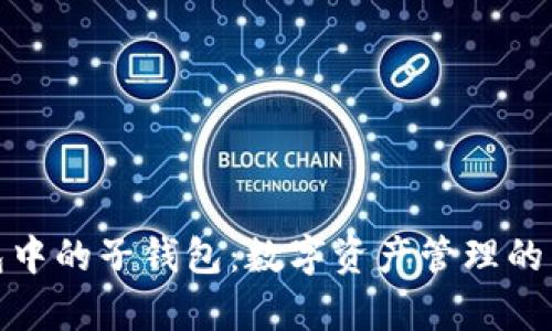 tp钱包中的子钱包：数字资产管理的新潮流