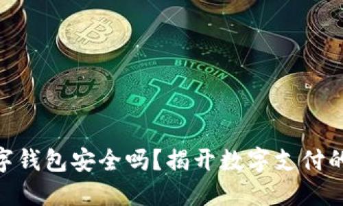 KDPAY数字钱包安全吗？揭开数字支付的神秘面纱