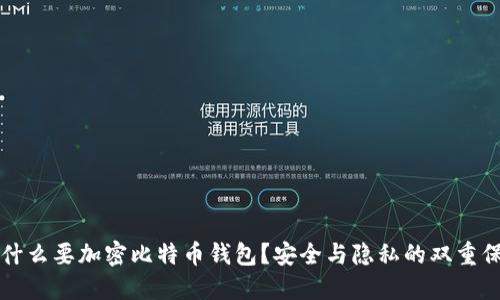 为什么要加密比特币钱包？安全与隐私的双重保障